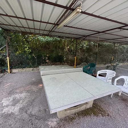 Tra Gli Ulivi - Di Garda